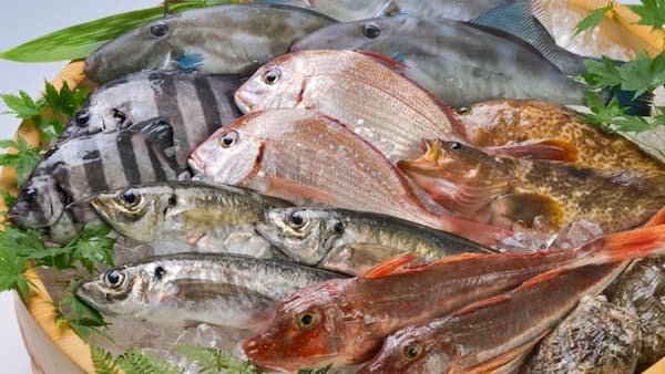黒部・宇奈月温泉 やまのは(富山県)北陸の海鮮食べ放題ホテル12選!浜焼きや夕食バイキングが美味しい宿