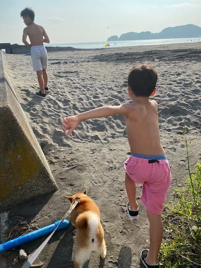 海辺のBed＆Breakfast GOOD MORNING ZAIMOKUZA（神奈川県）関東の部屋から海に入れるホテル10選!海沿いの子連れでも楽しめる宿