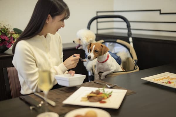 コレドール湯河原 Dog&Resort(神奈川県)関東のペットと泊まれる宿20選!露天風呂付き客室や安い温泉宿も紹介