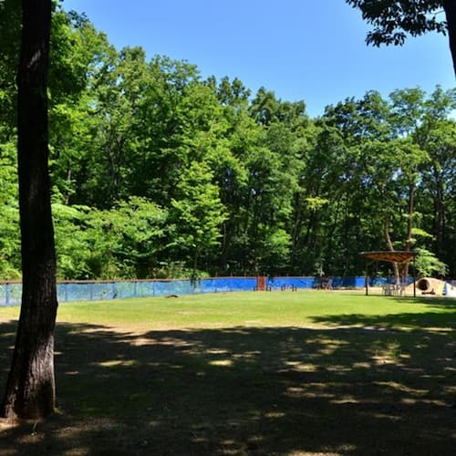 コテージ わん’S(栃木県)関東のペットと泊まれる宿20選!露天風呂付き客室や安い温泉宿も紹介