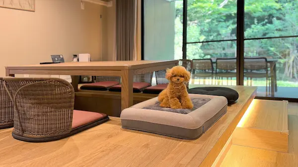 Rakuten STAY 箱根すすき草原（仙石原）箱根の犬と泊まれる安い宿10選!ペットと泊まれる宿やドッグラン付きも!
