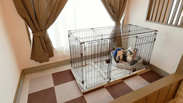 HOTEL Ra Kuun（元箱根）箱根の犬と泊まれる安い宿10選!ペットと泊まれる宿やドッグラン付きも!