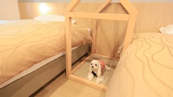 ゆるり箱根withDOGS（強羅）箱根の犬と泊まれる安い宿10選!ペットと泊まれる宿やドッグラン付きも!