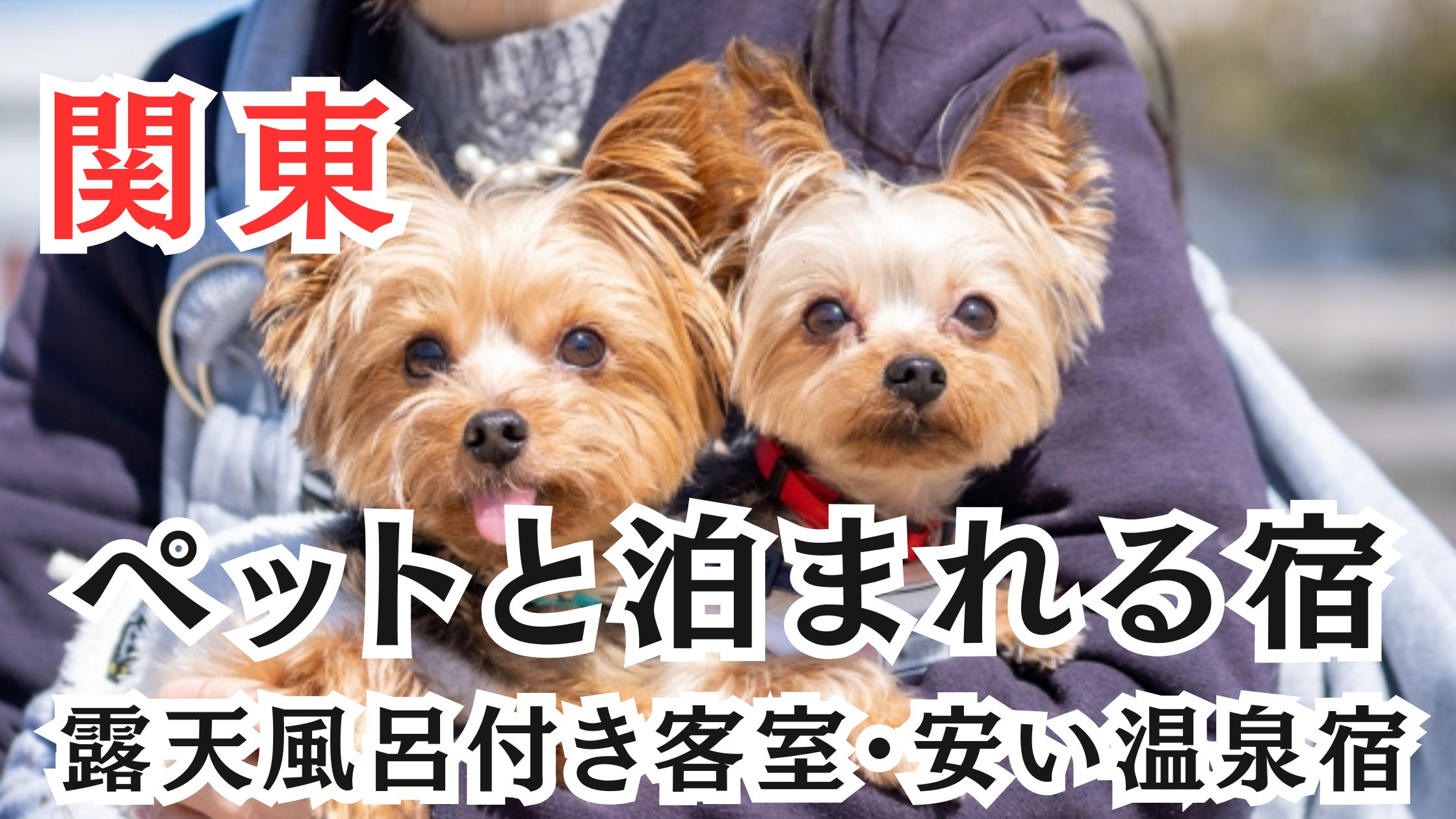 関東のペットと泊まれる宿20選!露天風呂付き客室や安い温泉宿も紹介